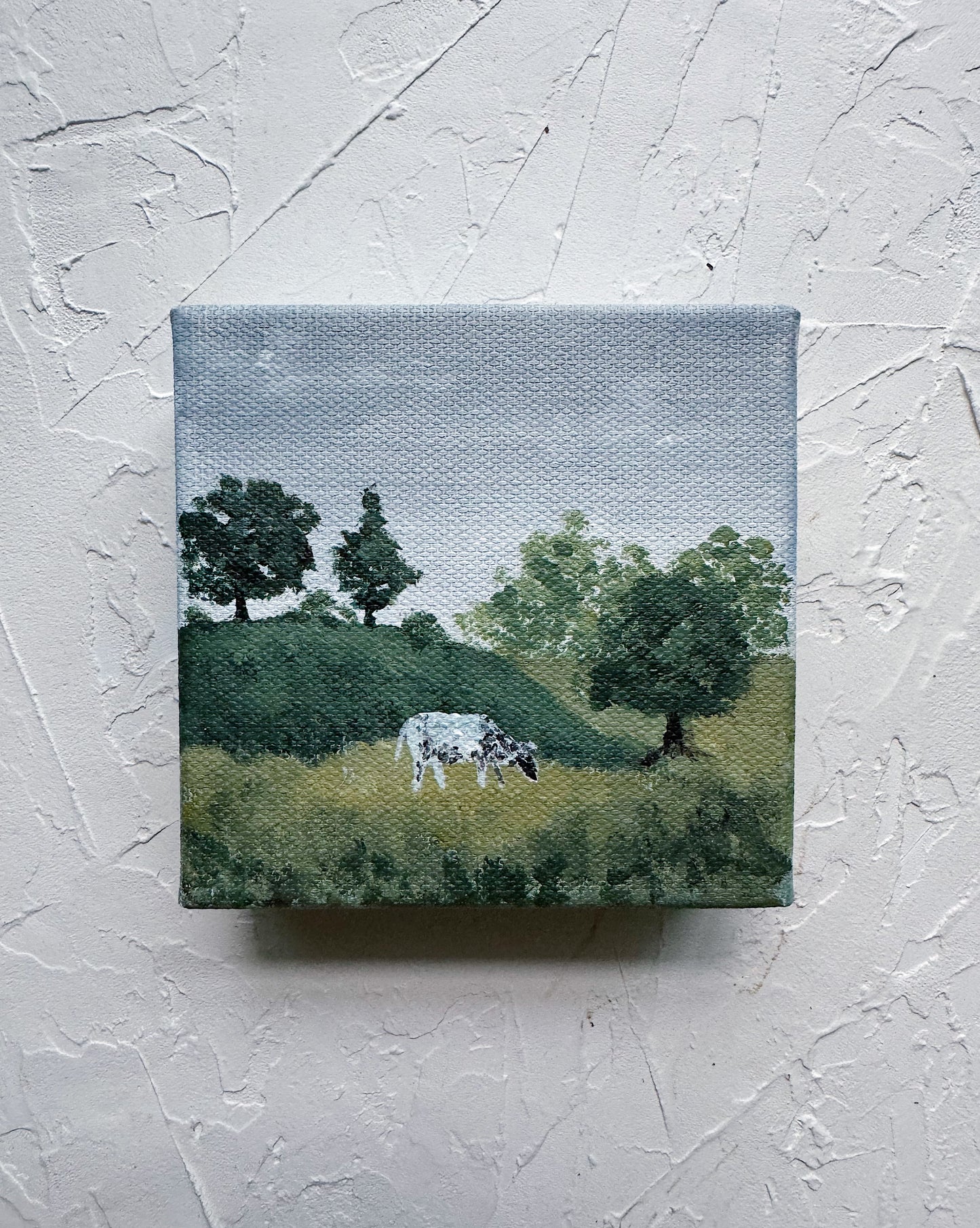 Cow in the Pasture