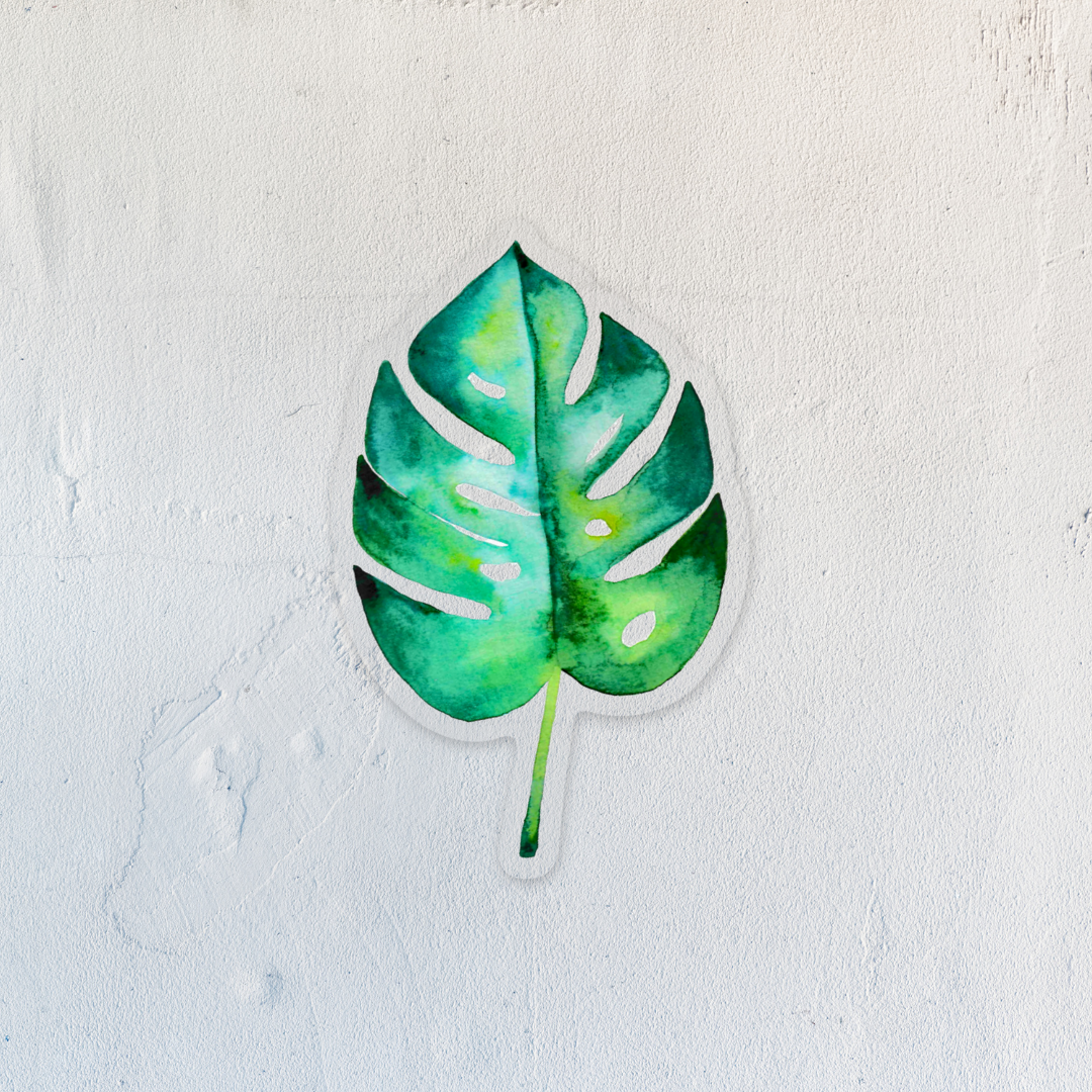 Monstera Clear Sticker