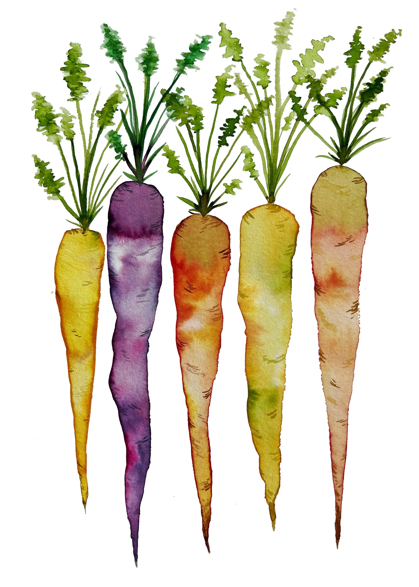 Colorful Carrots Print