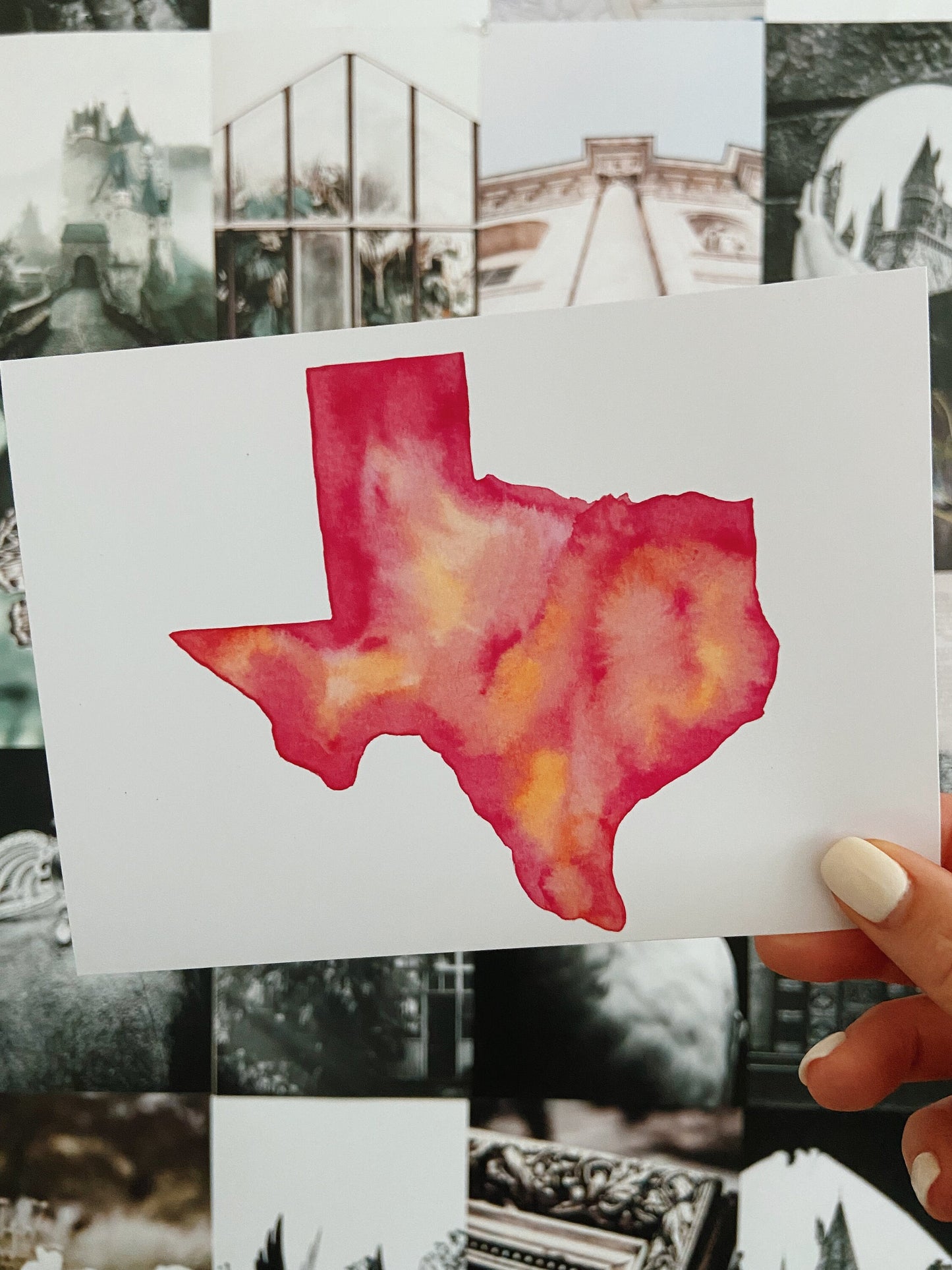 Pink Texas Print